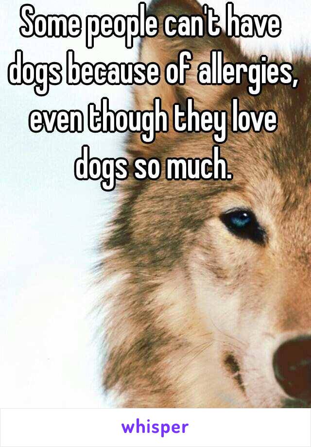 Some people can't have dogs because of allergies, even though they love dogs so much.