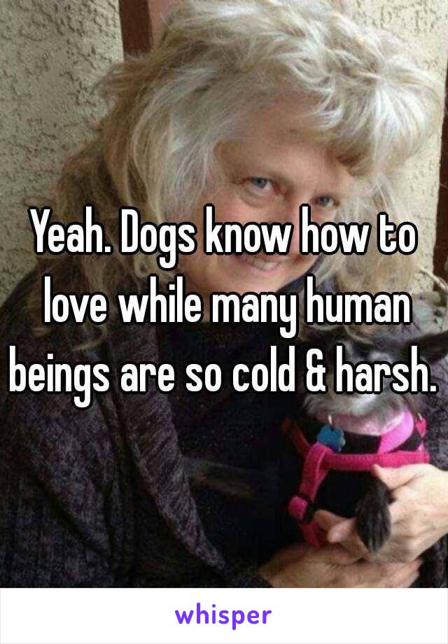 Yeah. Dogs know how to love while many human beings are so cold & harsh. 