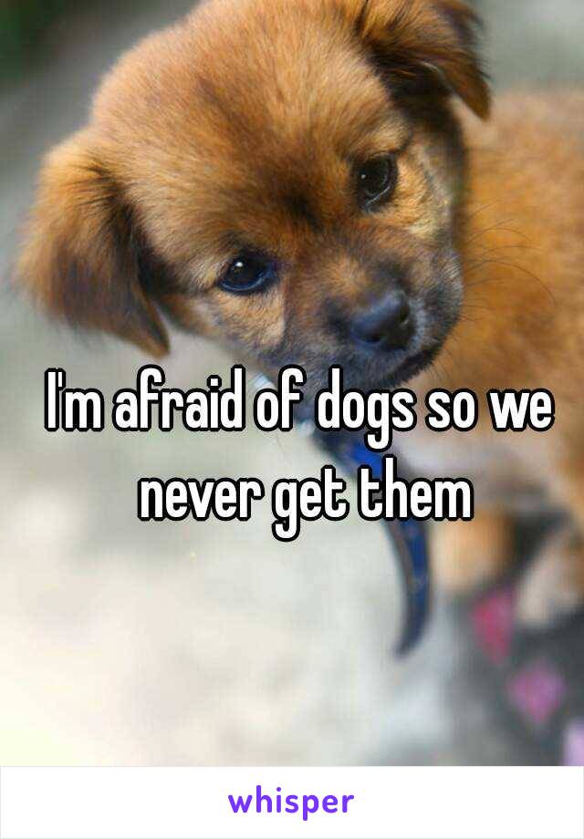 I'm afraid of dogs so we never get them