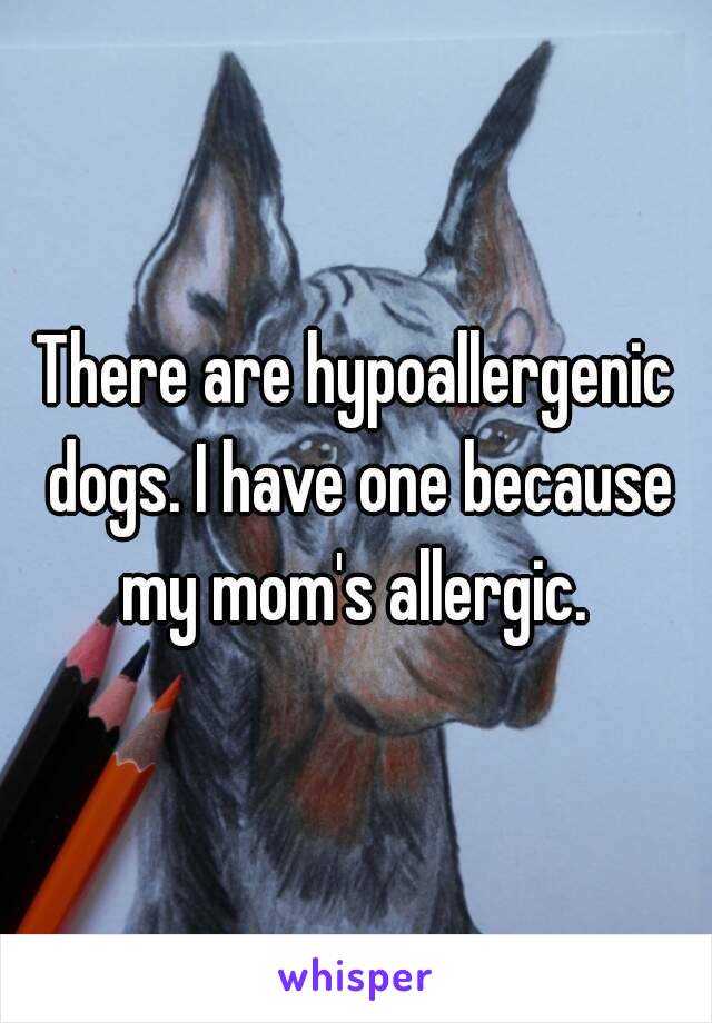 There are hypoallergenic dogs. I have one because my mom's allergic. 