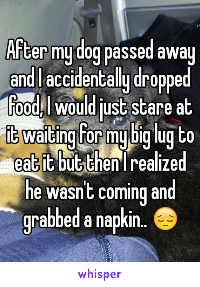 After my dog passed away and I accidentally dropped food, I would just stare at it waiting for my big lug to eat it but then I realized he wasn't coming and grabbed a napkin.. 😔