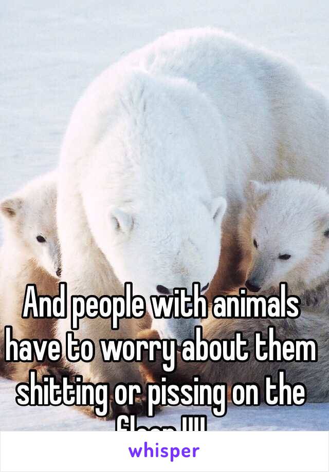 And people with animals have to worry about them shitting or pissing on the floor !!!!