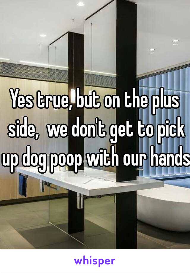 Yes true, but on the plus side,  we don't get to pick up dog poop with our hands