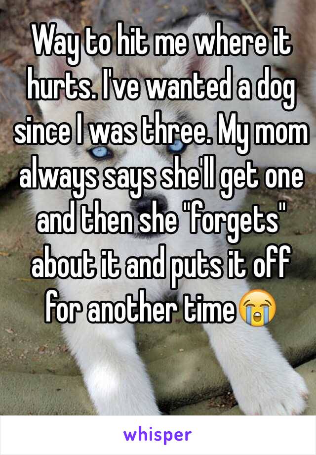 Way to hit me where it hurts. I've wanted a dog since I was three. My mom always says she'll get one and then she "forgets" about it and puts it off for another time😭