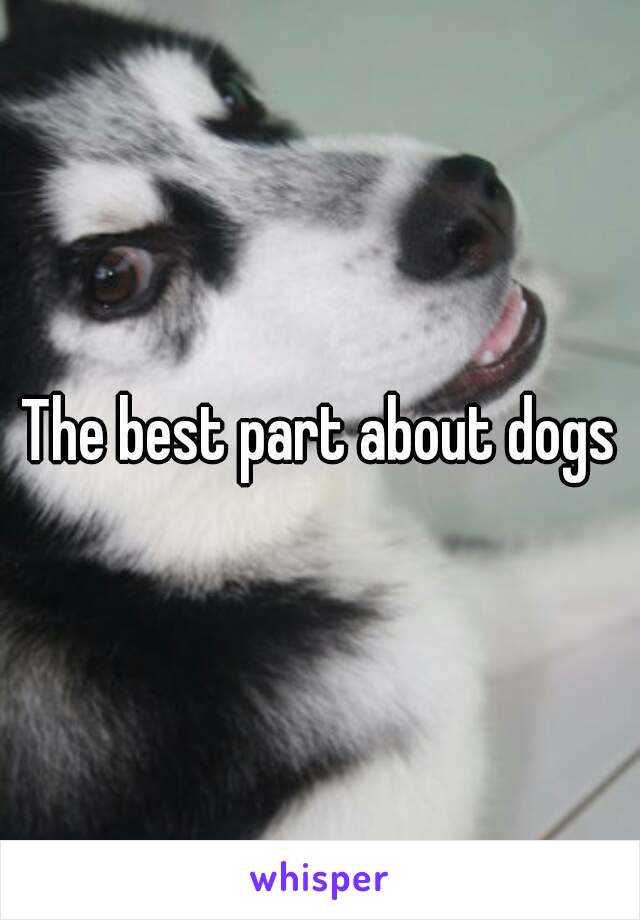 The best part about dogs