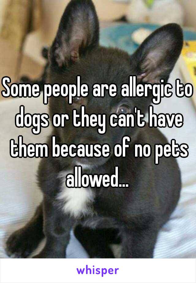 Some people are allergic to dogs or they can't have them because of no pets allowed... 