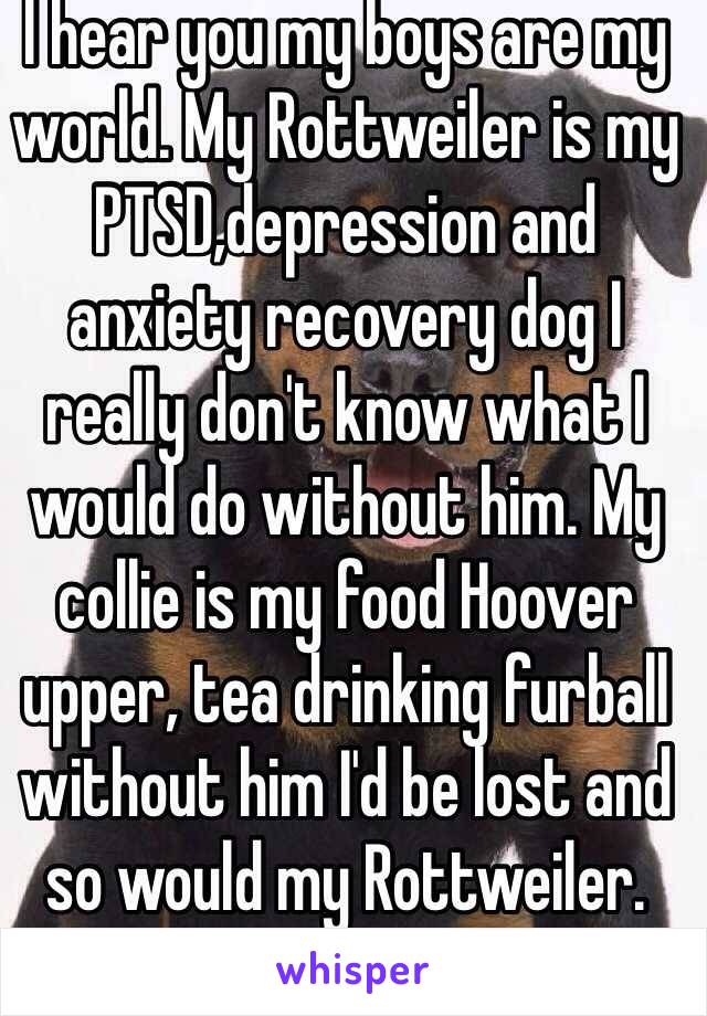 I hear you my boys are my world. My Rottweiler is my PTSD,depression and anxiety recovery dog I really don't know what I would do without him. My collie is my food Hoover upper, tea drinking furball without him I'd be lost and so would my Rottweiler. Dogs are ace 