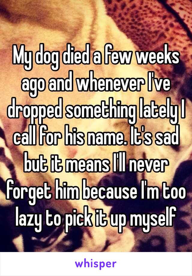 My dog died a few weeks ago and whenever I've dropped something lately I call for his name. It's sad but it means I'll never forget him because I'm too lazy to pick it up myself 