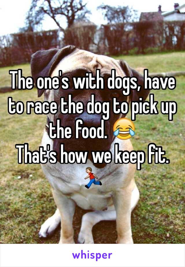 The one's with dogs, have to race the dog to pick up the food. 😂
That's how we keep fit. 🏃