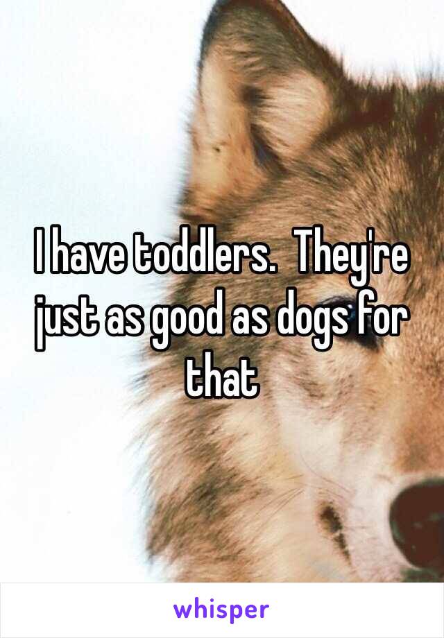 I have toddlers.  They're just as good as dogs for that