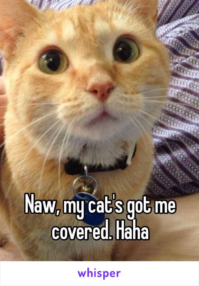 Naw, my cat's got me covered. Haha
