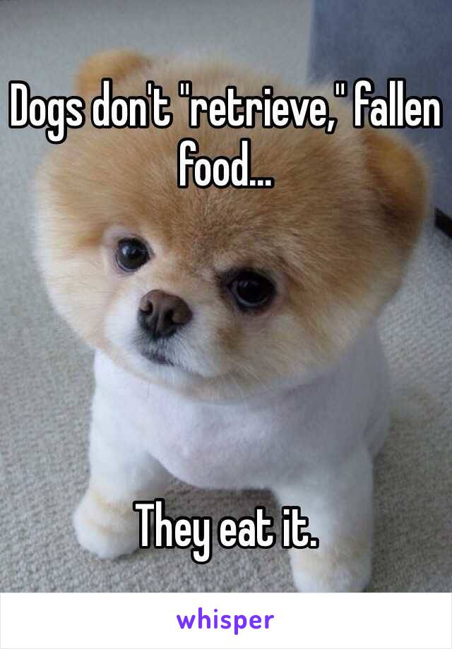 Dogs don't "retrieve," fallen food...





They eat it. 