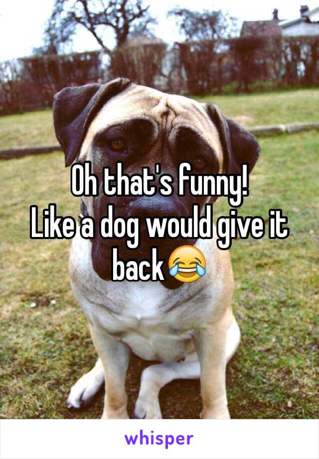 Oh that's funny!
Like a dog would give it back😂