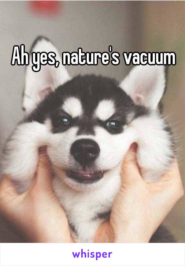 Ah yes, nature's vacuum 