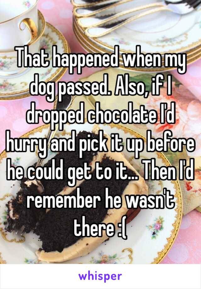 That happened when my dog passed. Also, if I dropped chocolate I'd hurry and pick it up before he could get to it... Then I'd remember he wasn't there :(