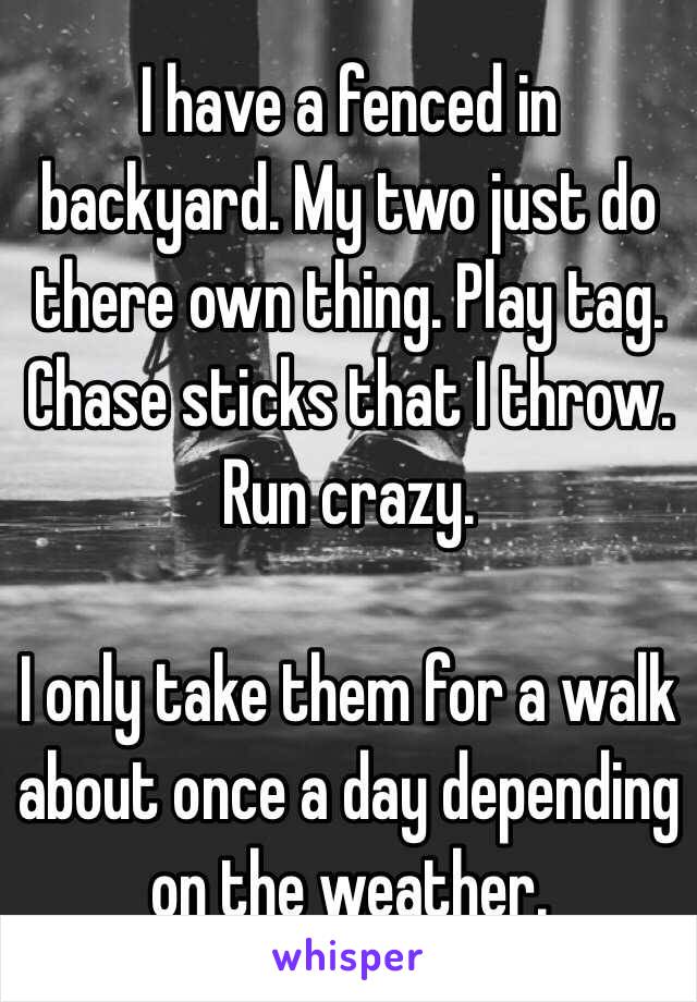 I have a fenced in backyard. My two just do there own thing. Play tag. Chase sticks that I throw. Run crazy. 

I only take them for a walk about once a day depending on the weather. 