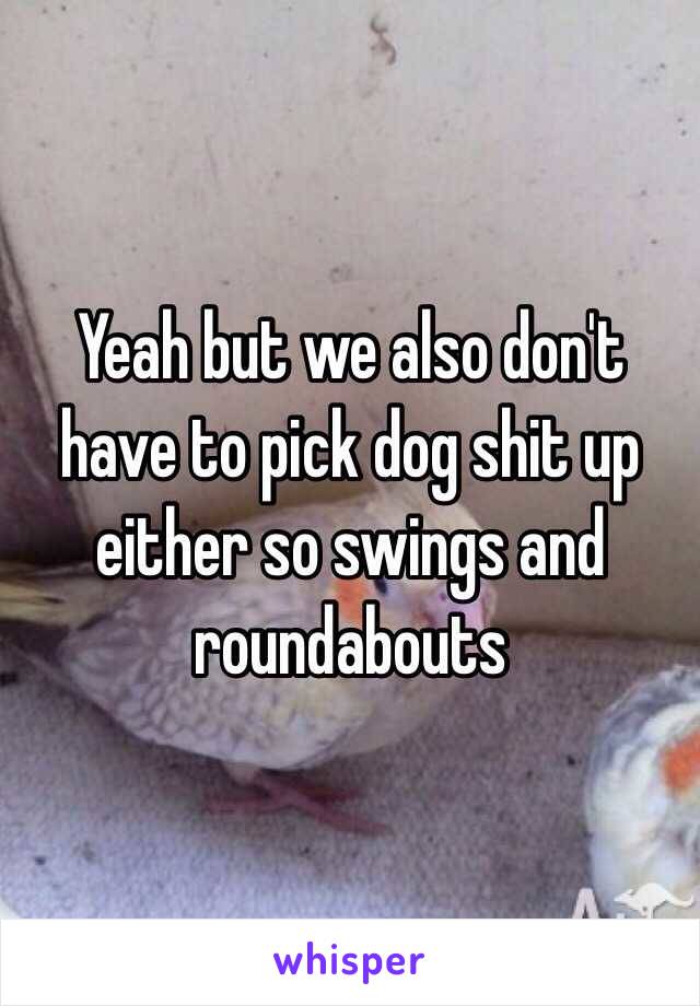 Yeah but we also don't have to pick dog shit up either so swings and roundabouts 