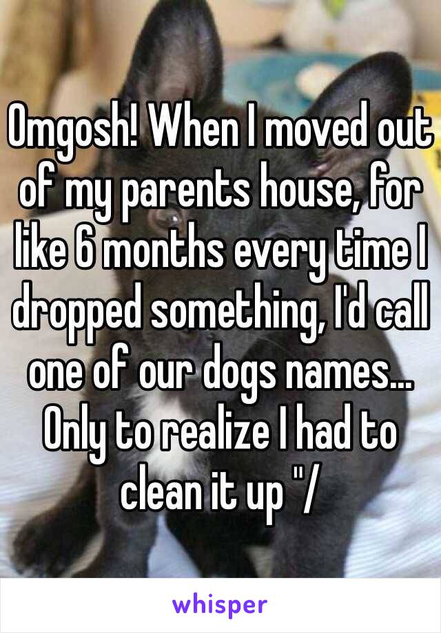Omgosh! When I moved out of my parents house, for like 6 months every time I dropped something, I'd call one of our dogs names... Only to realize I had to clean it up "/