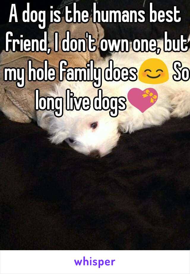 A dog is the humans best friend, I don't own one, but my hole family does😊 So long live dogs💝