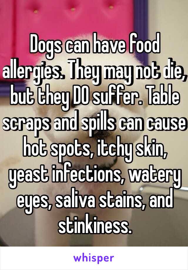 Dogs can have food allergies. They may not die, but they DO suffer. Table scraps and spills can cause hot spots, itchy skin, yeast infections, watery eyes, saliva stains, and stinkiness. 