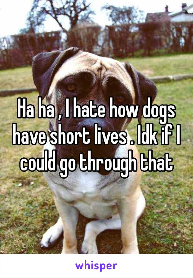 Ha ha , I hate how dogs have short lives . Idk if I could go through that 