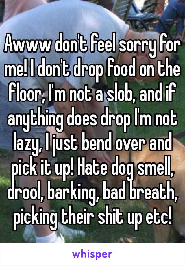 Awww don't feel sorry for me! I don't drop food on the floor, I'm not a slob, and if anything does drop I'm not lazy, I just bend over and pick it up! Hate dog smell, drool, barking, bad breath, picking their shit up etc! 