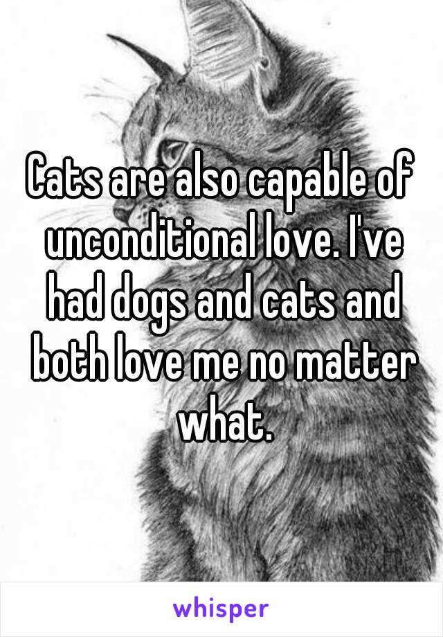 Cats are also capable of unconditional love. I've had dogs and cats and both love me no matter what.