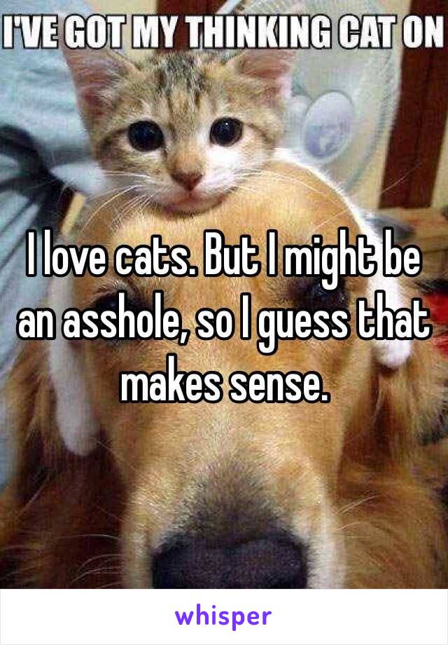 I love cats. But I might be an asshole, so I guess that makes sense.
