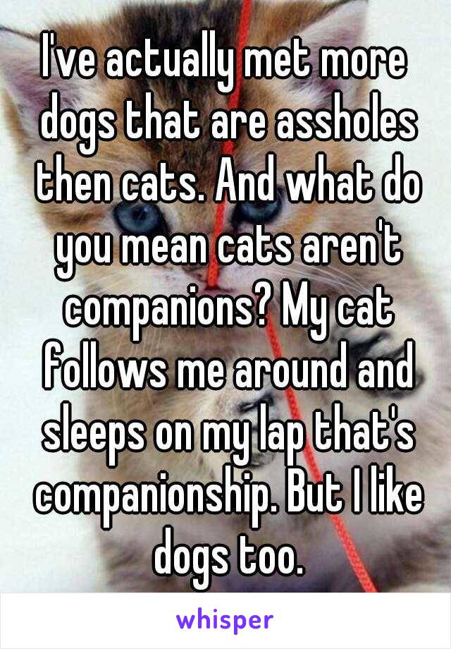 I've actually met more dogs that are assholes then cats. And what do you mean cats aren't companions? My cat follows me around and sleeps on my lap that's companionship. But I like dogs too.