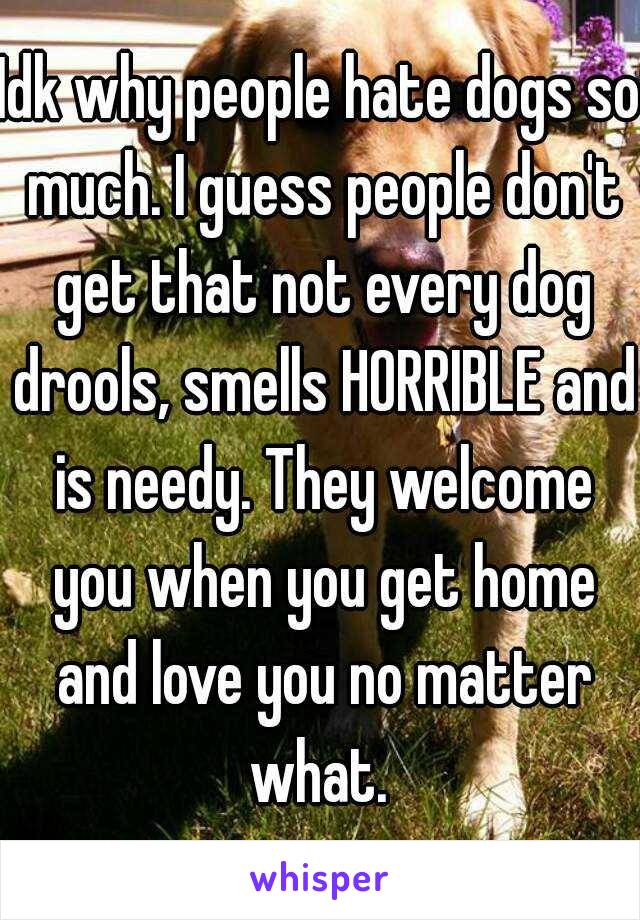 Idk why people hate dogs so much. I guess people don't get that not every dog drools, smells HORRIBLE and is needy. They welcome you when you get home and love you no matter what. 
