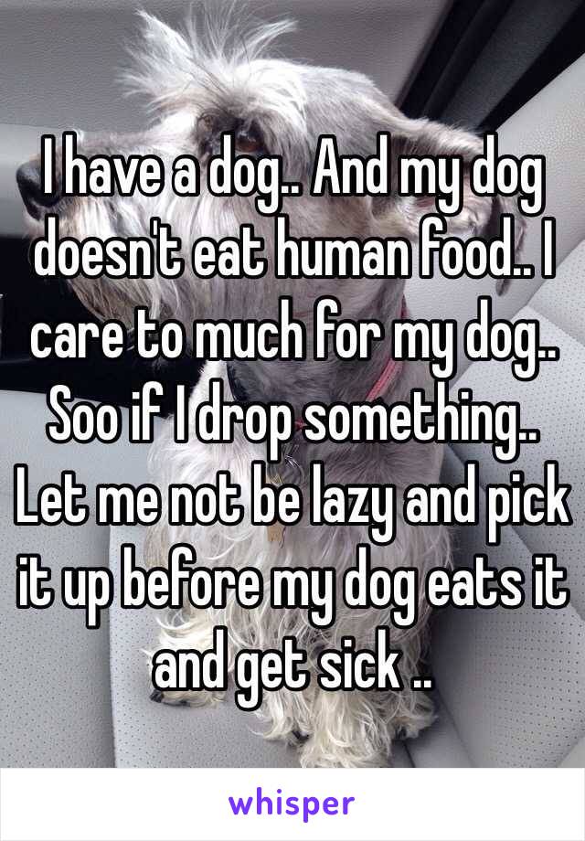 I have a dog.. And my dog doesn't eat human food.. I care to much for my dog.. Soo if I drop something.. Let me not be lazy and pick it up before my dog eats it and get sick .. 