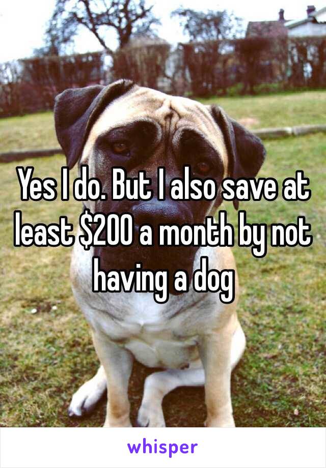 Yes I do. But I also save at least $200 a month by not having a dog