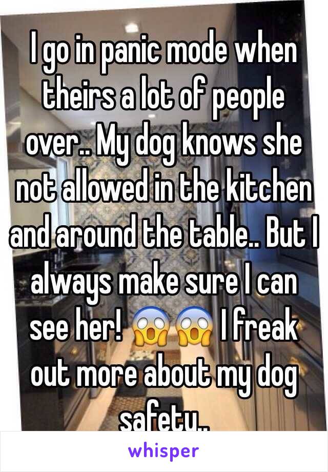 I go in panic mode when theirs a lot of people over.. My dog knows she not allowed in the kitchen and around the table.. But I always make sure I can see her! 😱😱 I freak out more about my dog safety.. 