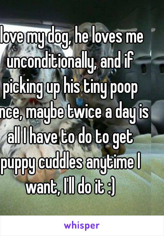 I love my dog, he loves me unconditionally, and if picking up his tiny poop once, maybe twice a day is all I have to do to get puppy cuddles anytime I want, I'll do it :)