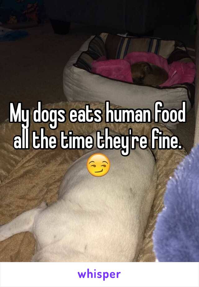 My dogs eats human food all the time they're fine. 
😏
