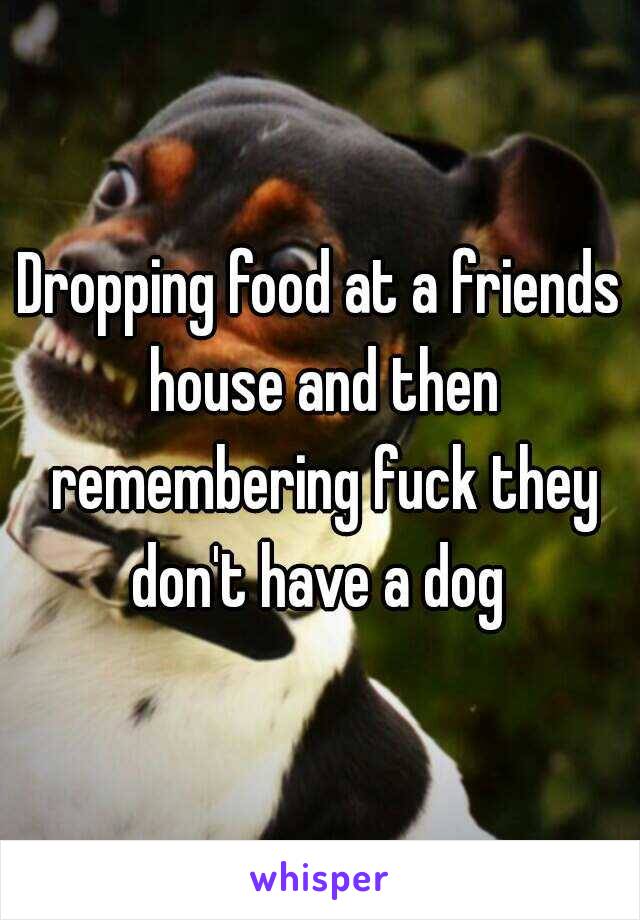 Dropping food at a friends house and then remembering fuck they don't have a dog 