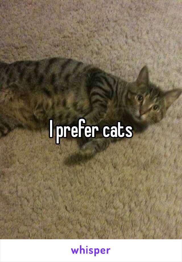 I prefer cats