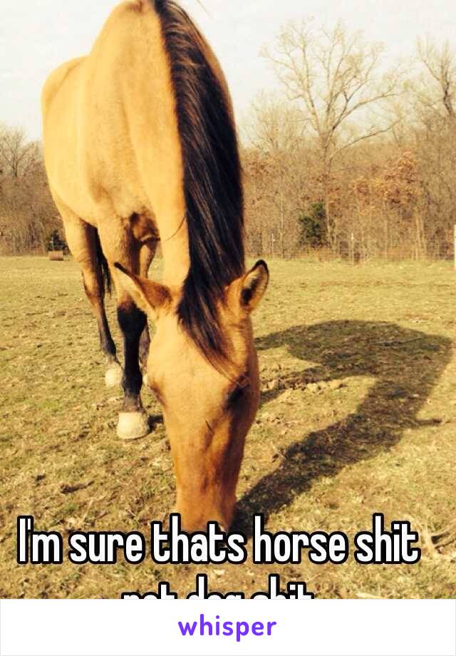 I'm sure thats horse shit not dog shit