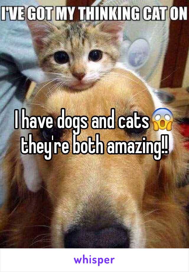 I have dogs and cats😱 they're both amazing!!