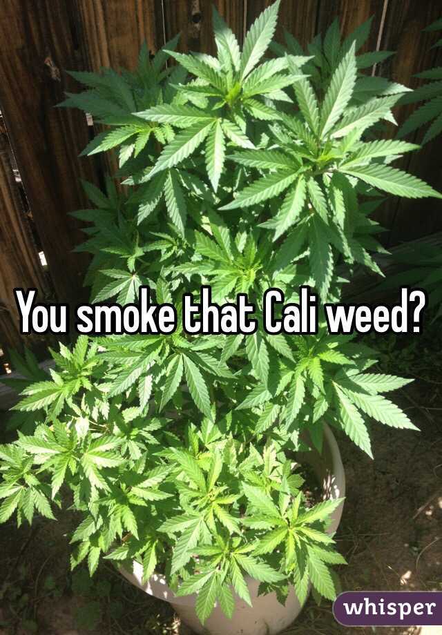 You smoke that Cali weed? 