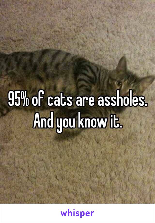 95% of cats are assholes. And you know it. 