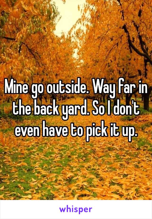 Mine go outside. Way far in the back yard. So I don't even have to pick it up. 