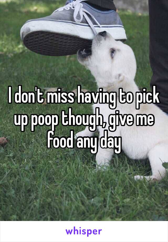 I don't miss having to pick up poop though, give me food any day