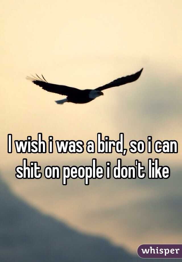 I wish i was a bird, so i can shit on people i don't like