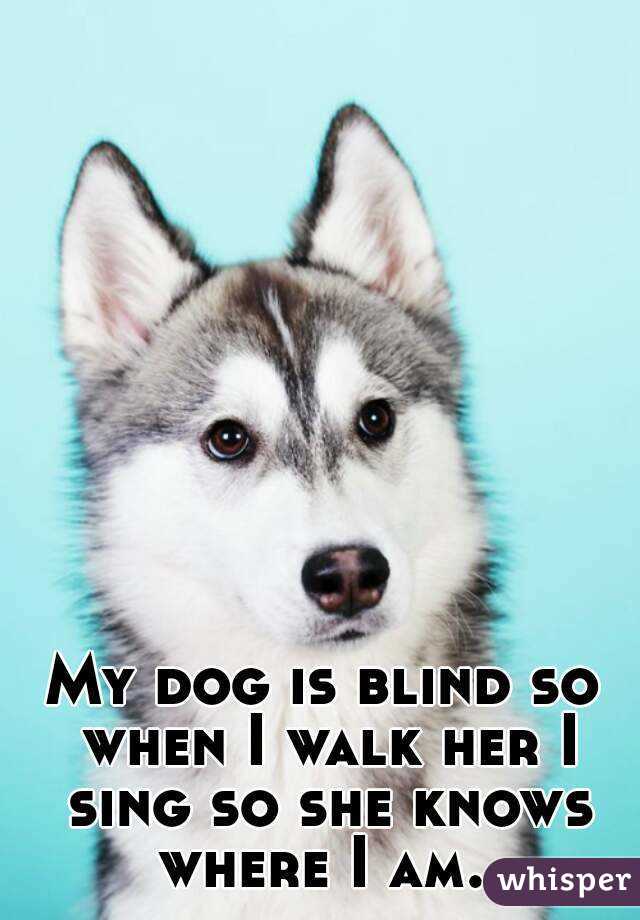 My dog is blind so when I walk her I sing so she knows where I am. 