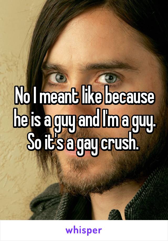 No I meant like because he is a guy and I'm a guy. So it's a gay crush. 
