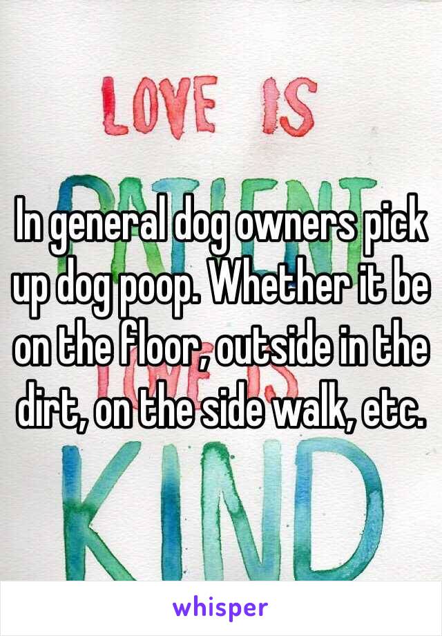 In general dog owners pick up dog poop. Whether it be on the floor, outside in the dirt, on the side walk, etc. 