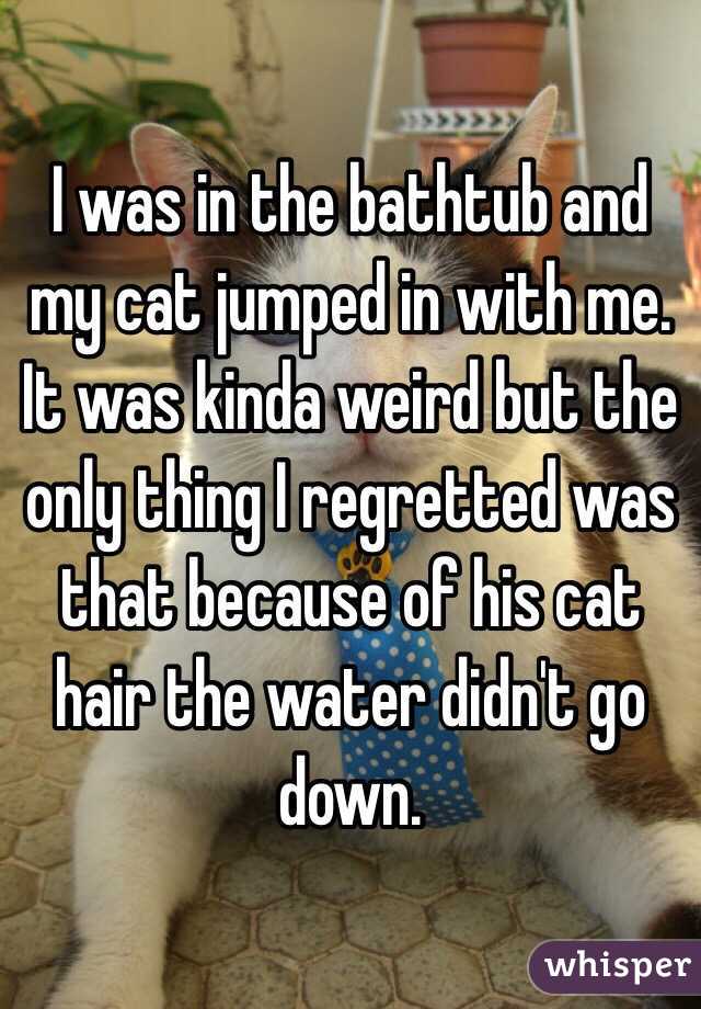 I was in the bathtub and my cat jumped in with me. It was kinda weird but the only thing I regretted was that because of his cat hair the water didn't go down.