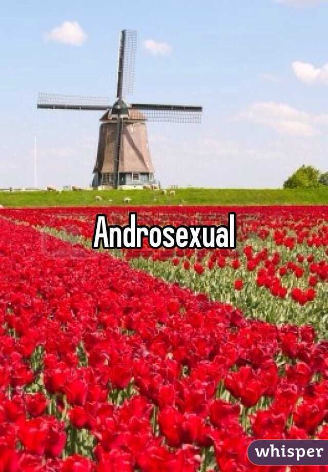 Androsexual
