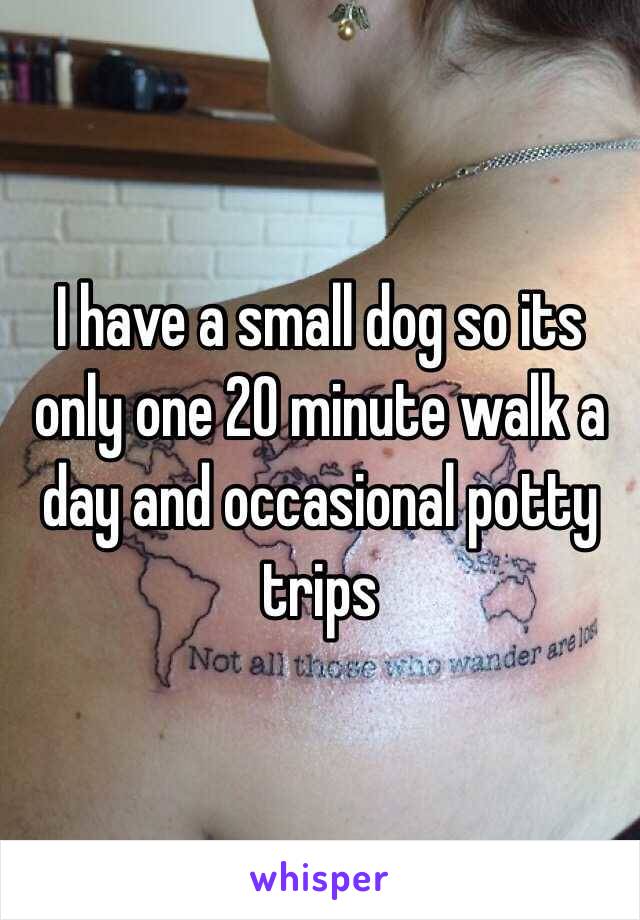 I have a small dog so its only one 20 minute walk a day and occasional potty trips